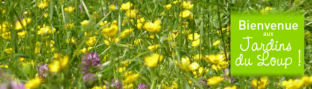 Les Jardins du Loup