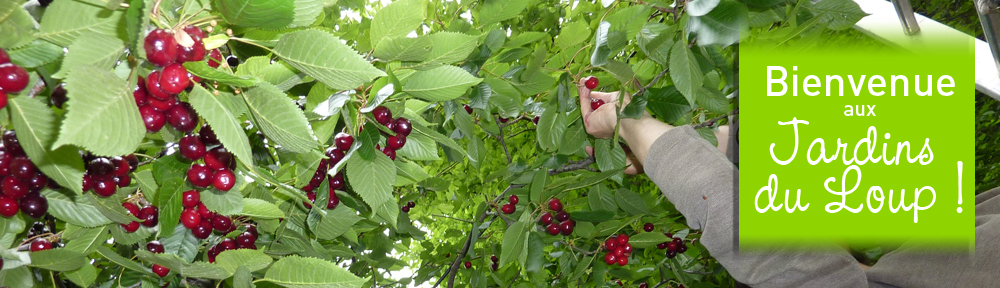 Les Jardins du Loup