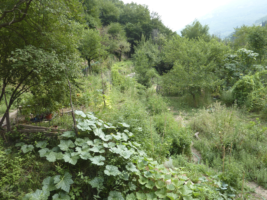 Jardin et butte au bassin
