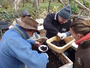 recolte compost 