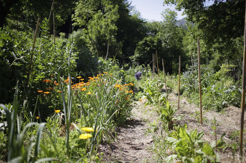 Les jardins du loup