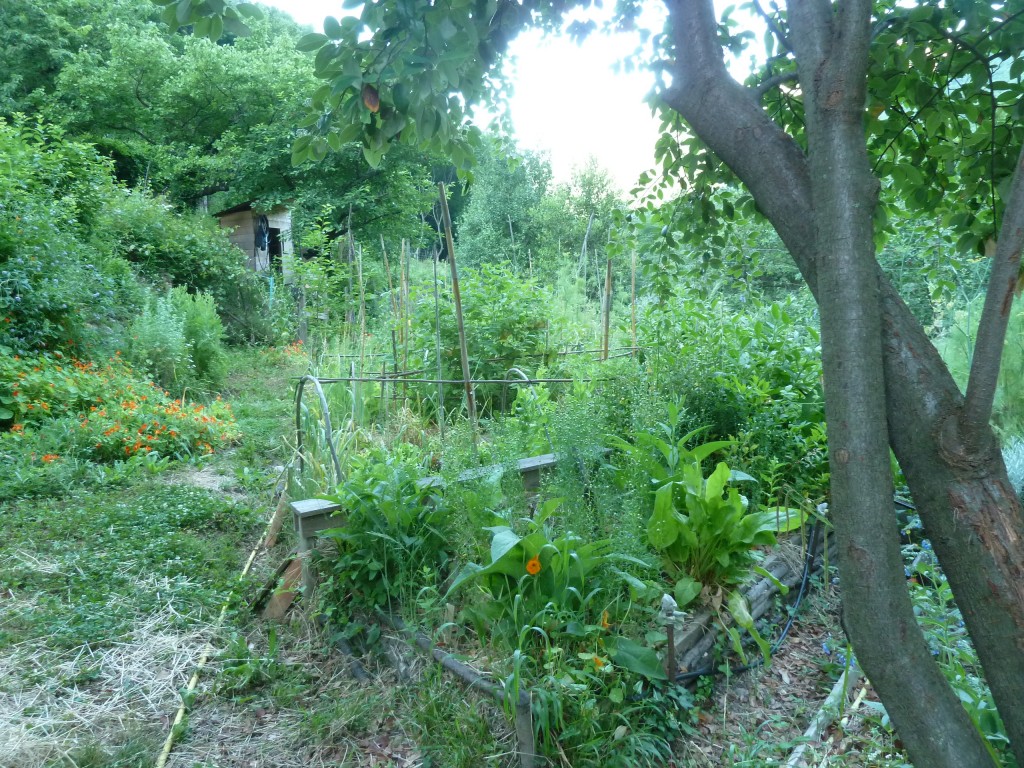 jardin familial